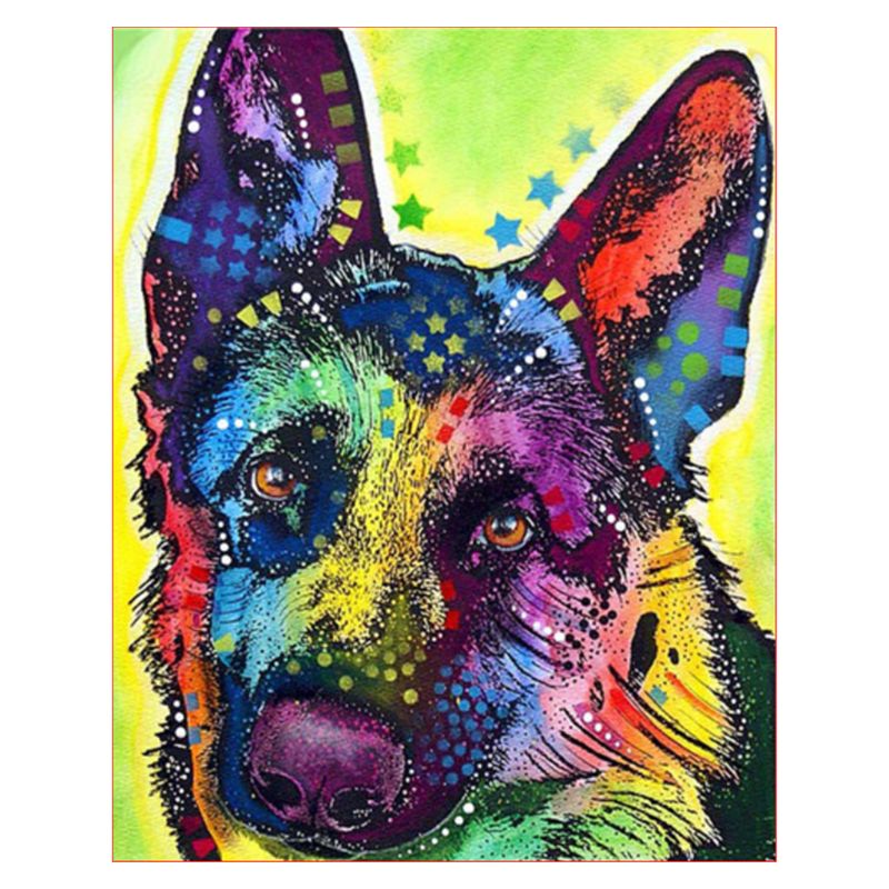Paint For Adults and Kids DIY Oil Painting Kits Pre-Printed Canvas Color Dog 2XPF
