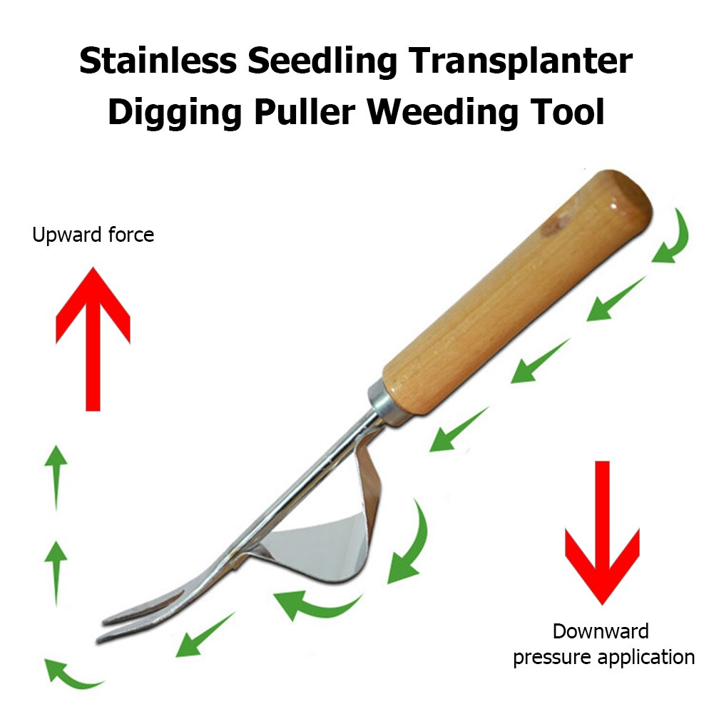 Wood Handle Stainless Steel Garden Weeder Removal Cutter Dandelion Puller