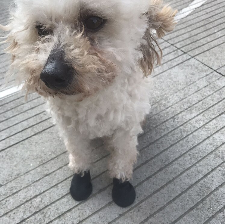 4Pcs Pet Hond Rubber Waterdichte Schoen Cover Pet Sokken Voet Cover Non Slip Outdoor Puppies Regen Schoenen Pet Poot protectors