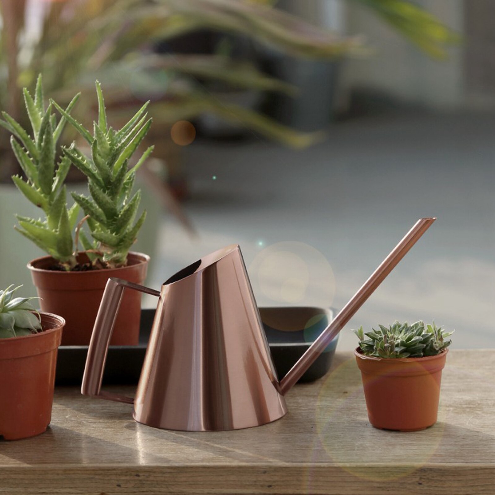 Pequeña regadera para plantas de interior, maceta de riego de acero inoxidable con surtidor largo
