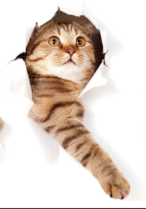 Nette 3D kätzchen wc Einfügen umweltschutz schlafzimmer wohnzimmer dekoration wasserdichte kombination nette katze Zauberstab aufkleber: F