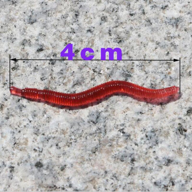 50PCS 4cm Worms Soft Baits Artificial Fishing Lure Lifelike Fishy Smell Red Soft Lures