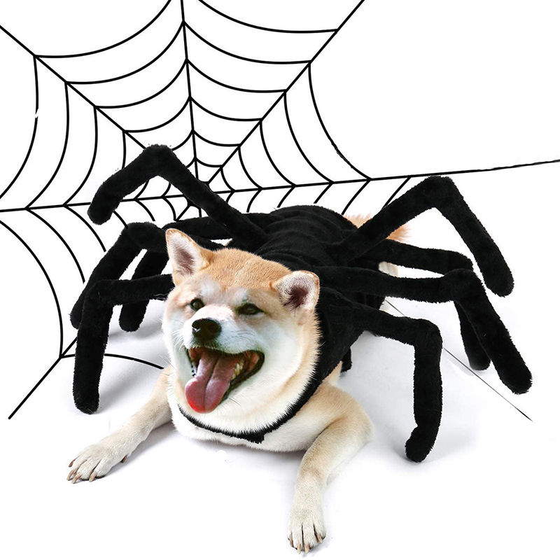 Halloween Spider Kleren Voor Hond Kat Spider Kostuums Dressing Up Pet Kleding Party Pet Halloween Props Accessoires