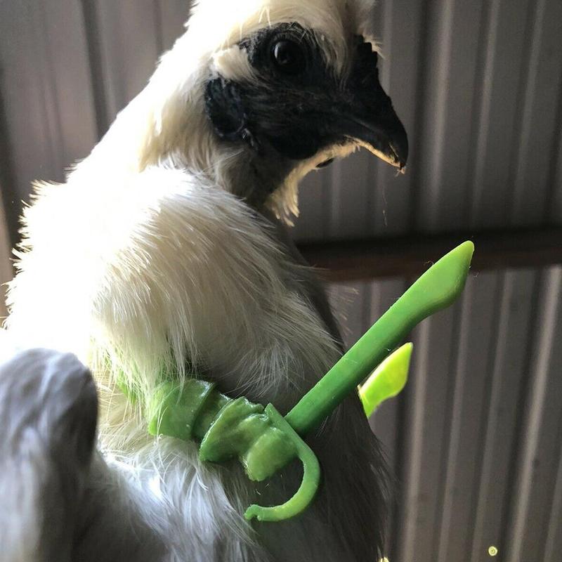 Bras de poulet en forme de bras, jouet, accessoires, décoration, pour Animal domestique, fête à thème, fournitures d'animaux,