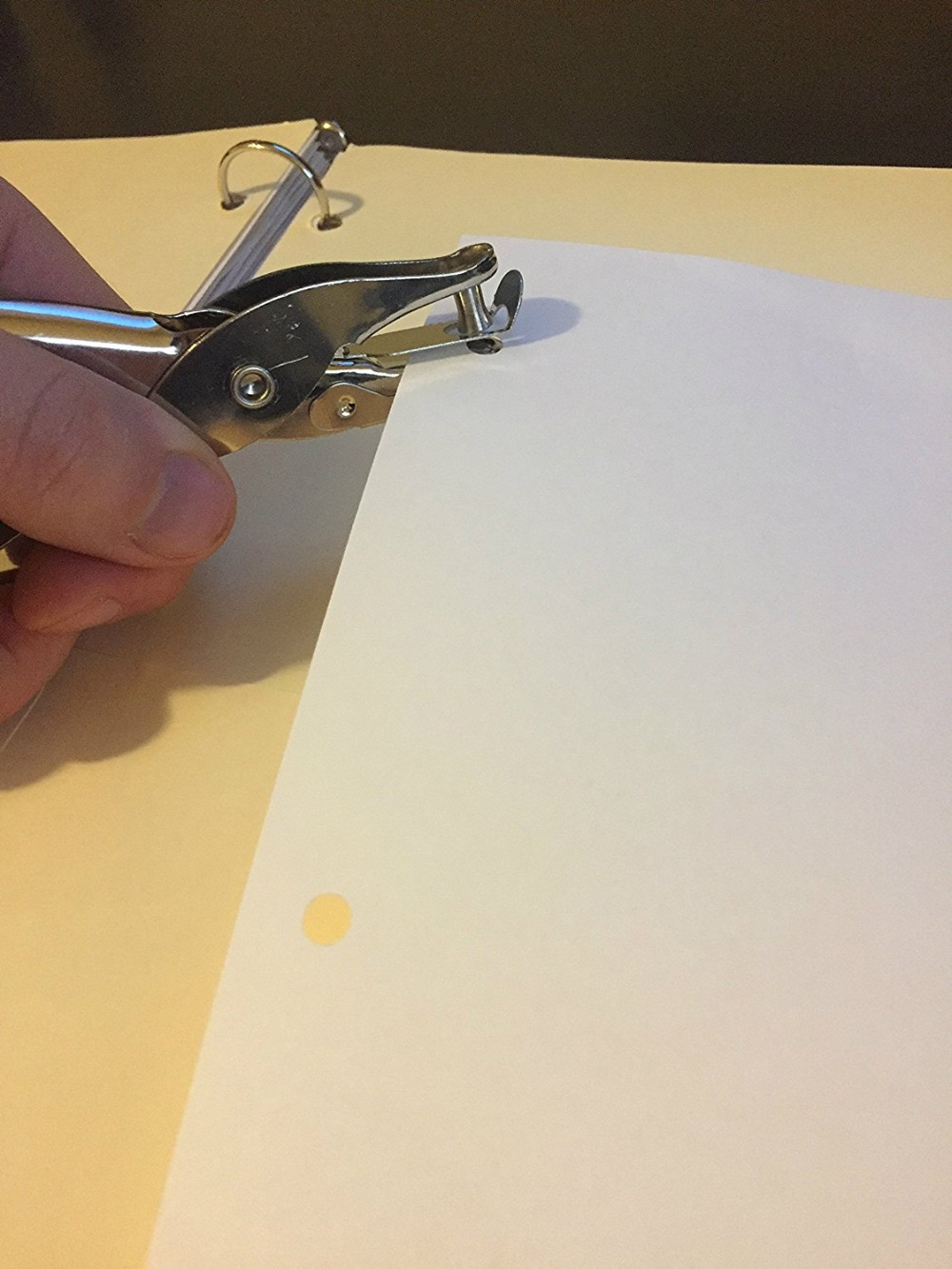 Metal Puncher for Quick and Easy Holes in Cardstock and Any Size Paper or Binder, Perfect for Arts, Crafts and Designs