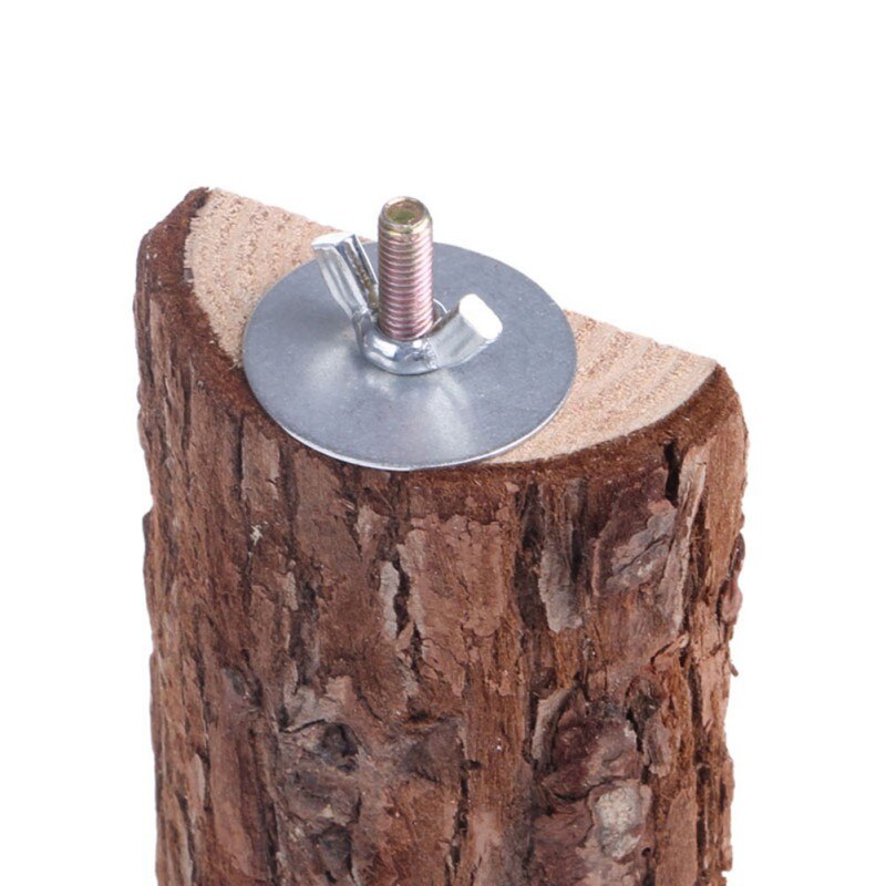 Haustier Papagei Holz Vogel KäFeige Sitzstangen Stehen Plattform Sittich Wellensittich Ratte Spielen Spielzeug