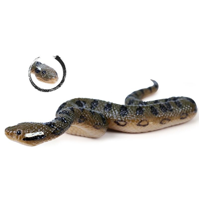 Jouet en Faux caoutchouc réaliste serpent du nord des états-unis, vert anacoda, accessoires d'halloween effrayants