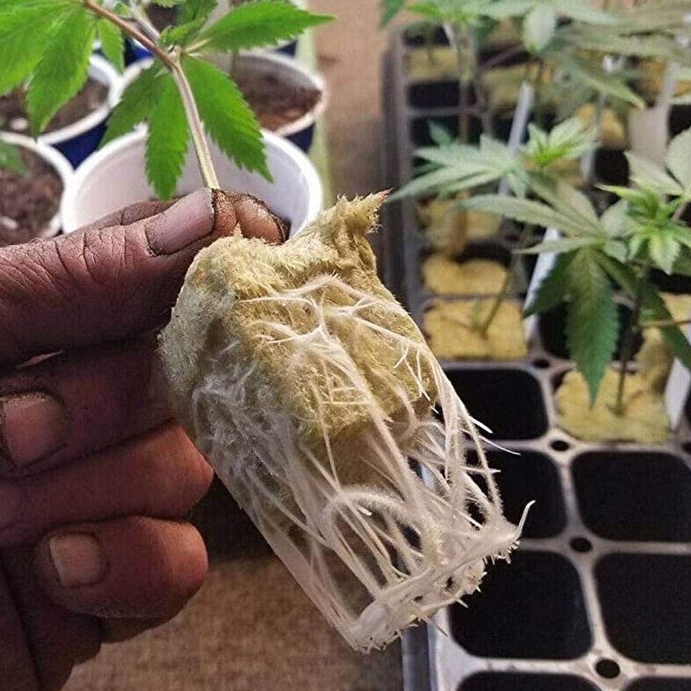 2 stk gaeden hydroponics frøplante vokse blokke kultur base medium jordfri plantning