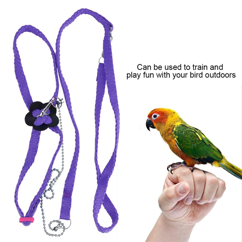 Correa ajustable para pájaros, arnés para exteriores, cuerda de entrenamiento, banda antimordida para entrenamiento de aves y accesorios para palomas