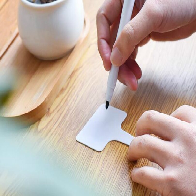 L 10cm W 5cm W stylu T etykiety roślin znaczniki roślin etykieta robić roślin etykiety ogrodowe naczynia z tworzywa sztucznego dla sadzonek 100 sztuk/partia darmowa wysyłka