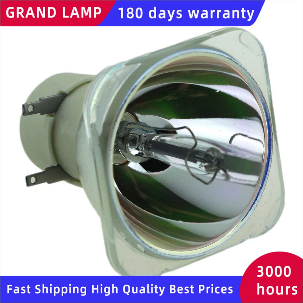 308942/LAMP TYPE 3 Replacement Projector Lamp/Bulb For RICOH PJ WX4130/PJ WX4130N/PJ WX4130Ni