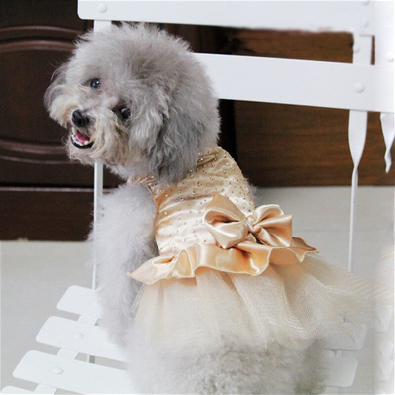 Vestidos de princesa para perros, ropa de perro de colores de alta luminosidad, vestido de princesa con tutú y lazo, falda para de boda, ropa para mascotas, superventas