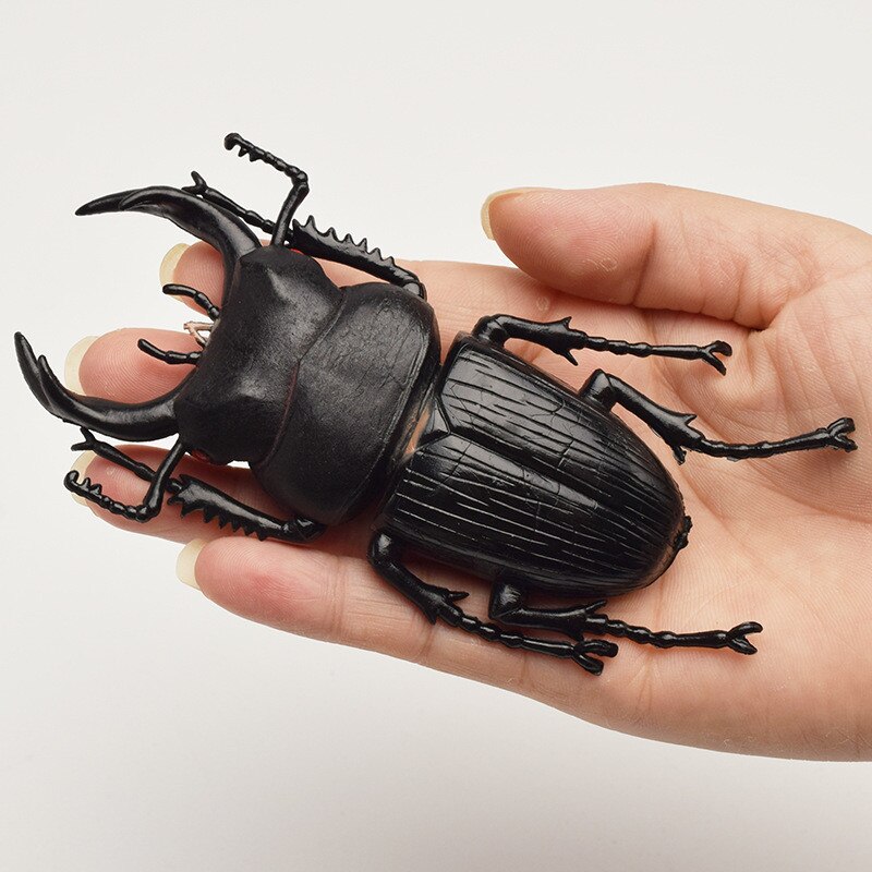 5pcs 5.5/13cm Simulation Beetle Toys Special Lifelike Model Simulation Insect Toy Nursery Teaching Aids Joke Toys Gold Beetle