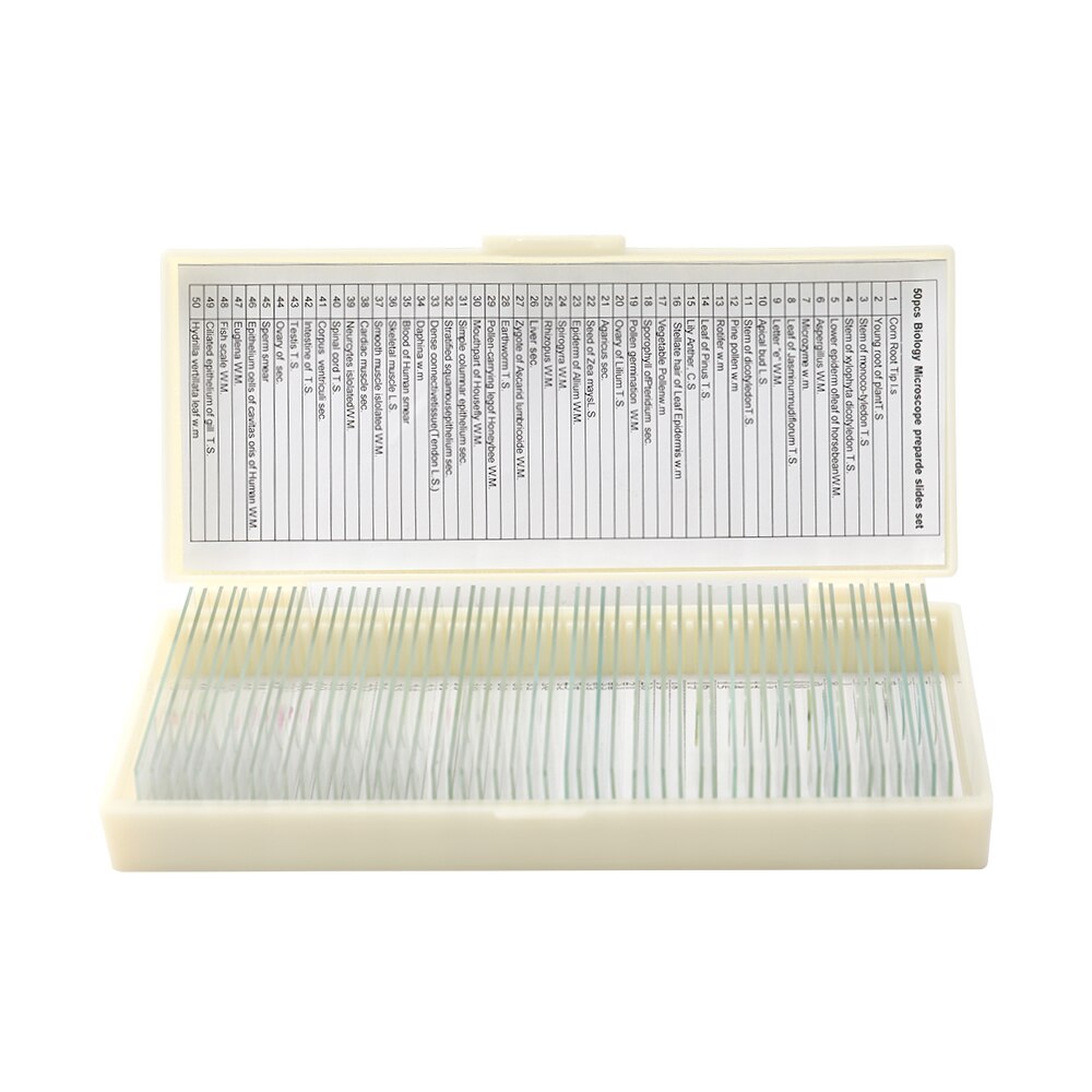 50 pièces/ensemble verre biologique échantillon préparé base animaux plantes insectes tissus Portable éducatif Microscope diapositives