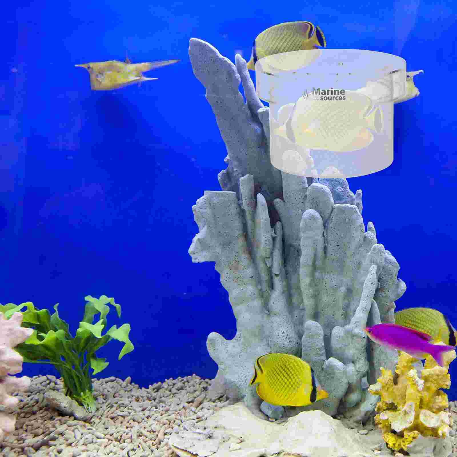 1Pc Aquarium Fish Breeder Box Fish Breeding Isolation Box for Home Shop