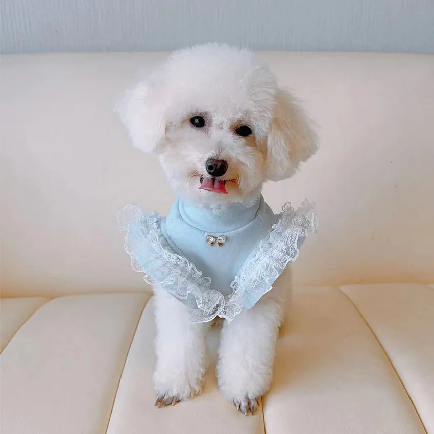 Pet Clothing Autumn and Winter Base Shirt Lace Flying Sleeves Ladies Base Vest Small Teddy Bear Dog Clothes for Small Dogs: XL / WHITE