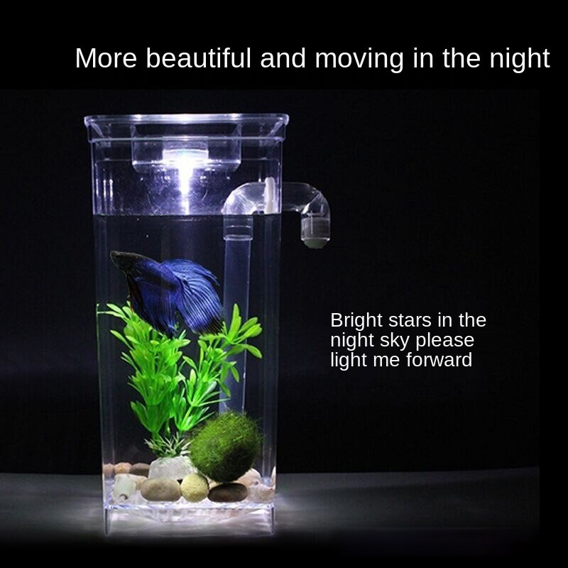 Mini Aquarium à poissons Simple autonettoyant, petit Aquarium Transparent en acrylique avec filtre à poisson rouge sans eau