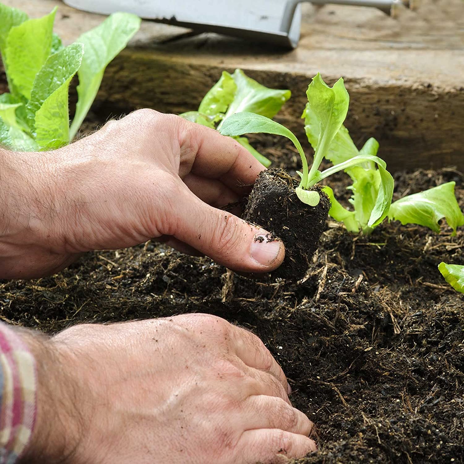 6/12 Cells Seed Starter Kit Plant Seeds Grow Box cSeedling Trays Germination Box with Dome and Base for Seeds Growing Starting