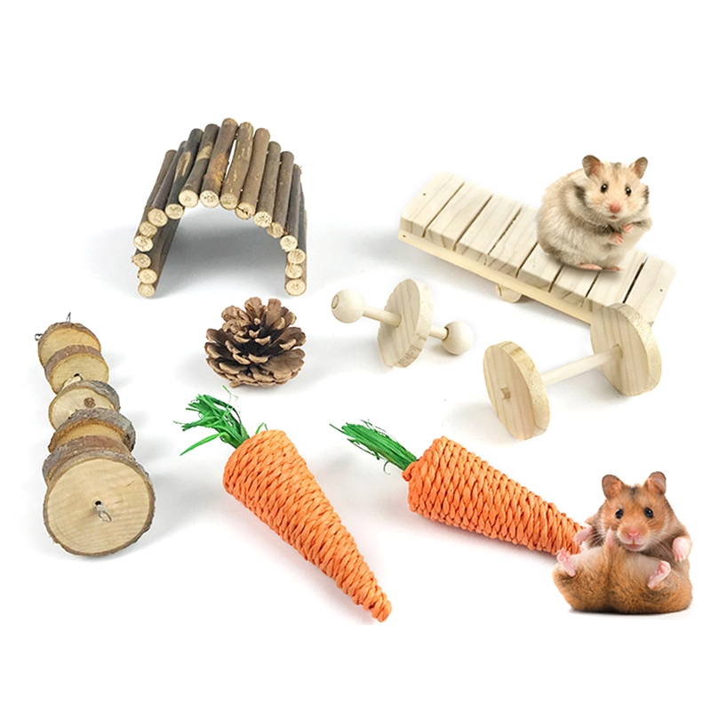 54DC Set Van 8 Kleine Dier Activiteit Speelgoed Accessoires Molaren Zorg Voor Hamsters Duurzaam Molaire Gereedschap Voor Cavia