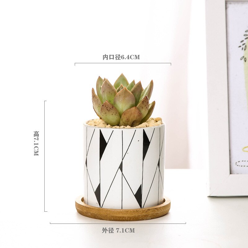 Nordic Geometric Pattern Ceramic Succulent Pot Straight Simple Black and White Home Decoration Succulent Small Potted Plant