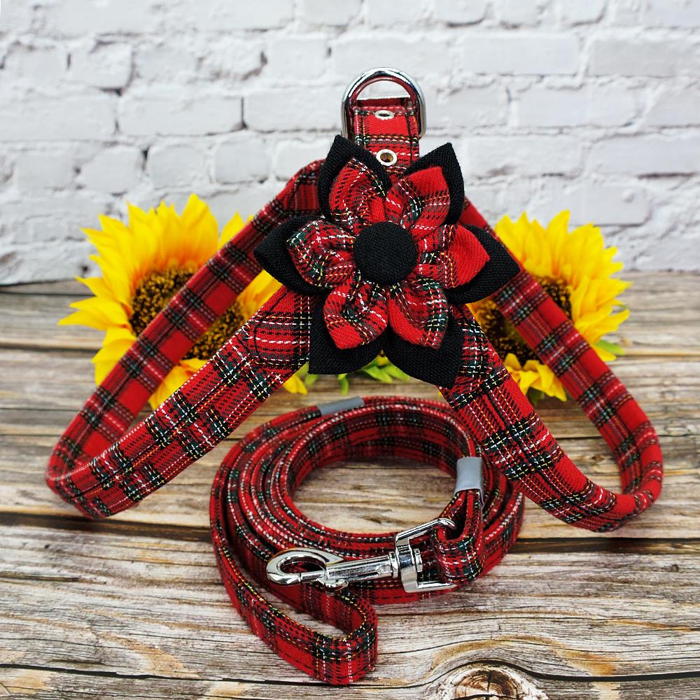 Harnais pour chiot, ensemble d'accessoires pour chiens, pour Chihuahua, pour animaux de compagnie, pour Chihuahua, gilet de marche, laisse, pour petits et moyens chiots, Pitbull