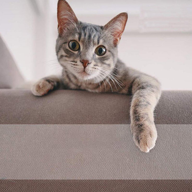 Antikrastape tegen katten, antikrastape op rol, transparante sticker tegen kattenkrabben voor meubels, bank, deur en tapijt.