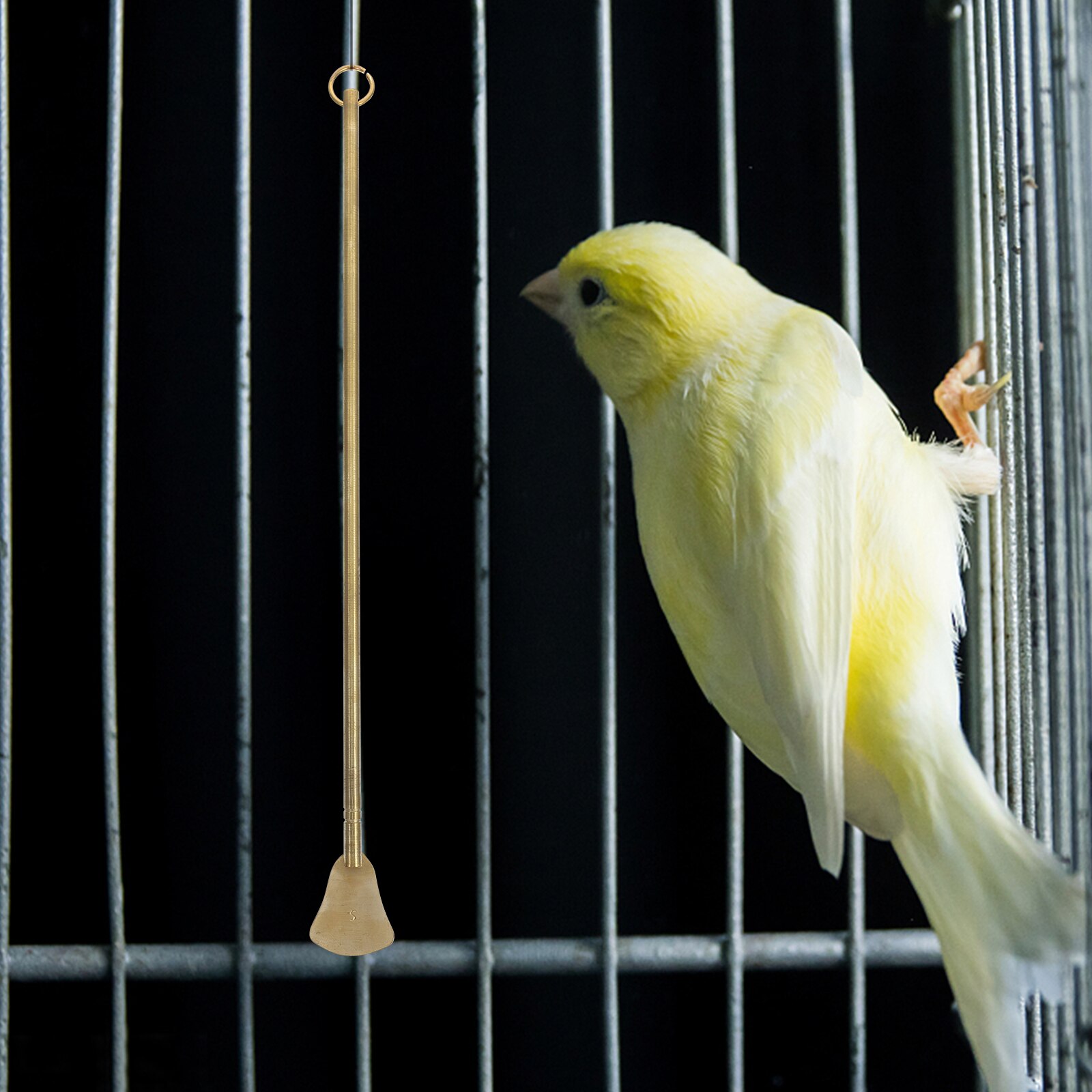 Bird Poop Cleaner Pet Poop Cleaning Tool Small Animals Cage Cleaner Metal Poop Remover