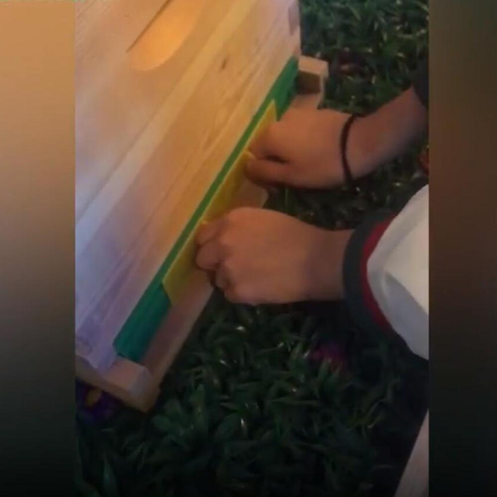 Puerta de colmena tipo tobogán de plástico, puerta antiescape duradera, alarma antirrobo, herramienta de apicultor, entrada de caja de abejas