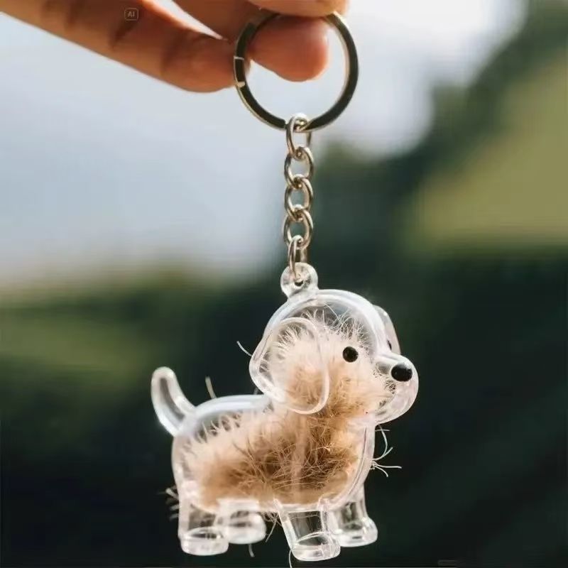 Caja de almacenamiento de pelo de perro, cápsula de recuerdo conmemorativo de pelo de cachorro, contenedor de piel de perro para mascota, llavero de cápsula transparente, recuerdos