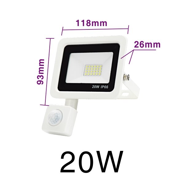 LED PIR Motion Sensor Floodlight AC220V Cold White Indoor Outdoor Spotlight IP66 Waterproof Courtyard Footpath Sensing Lighting: 20W Cold White