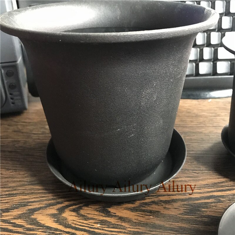 Fortykket god sort mat plastbakke, grøn plante i potte, saftig lille bakke, have afgørende