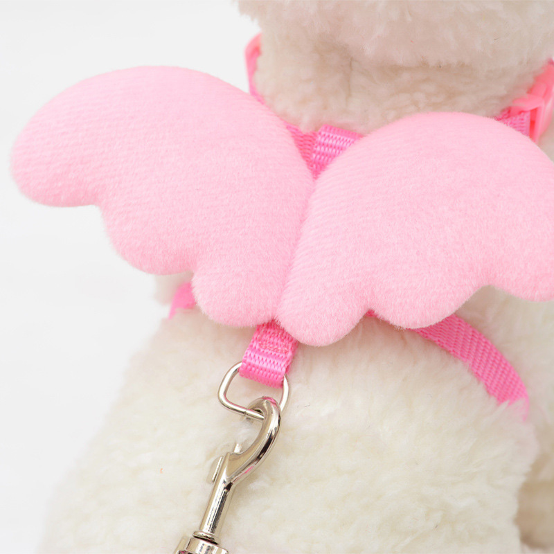 Kleine Hond Kat Riem Leuke Angel Wing Set Verstelbare Hond Met Nylon Riem Angel Wing Kraag Huisdier Lood Kat Hond met Leuke Accessoires