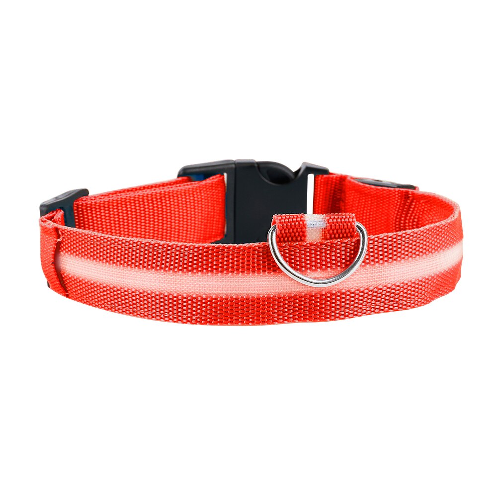 Led Anti-Verloren Huisdier Halsband Flashing Glow Glowing Lichtgevende Night Halsbanden Harnesses Riemen Huisdier Producten Kat Halsbanden: red