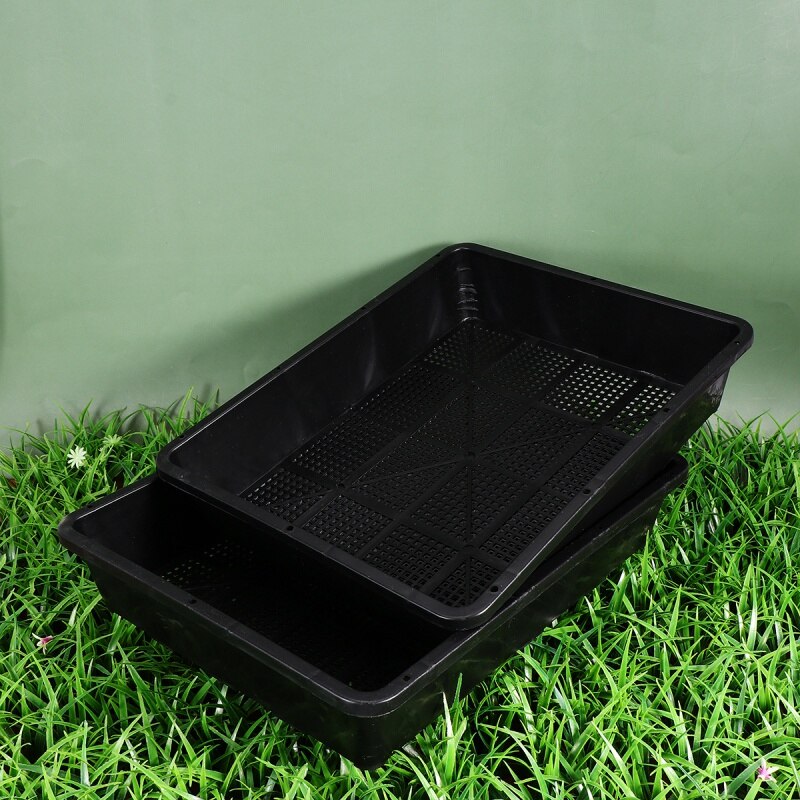 3 Pack Plant Growing Trays Garden Mesh Bottom Plastic Plant Trays for Wheatgrass, Plants, Hydroponic Dish Seedling Basin