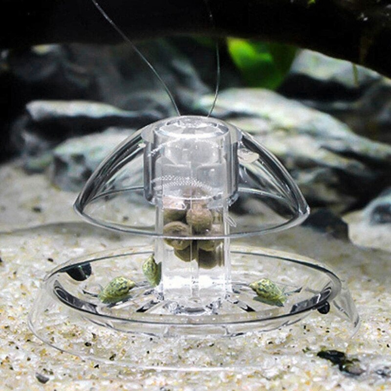 Piège à escargot pour Aquarium 6Cm, 2 pièces, en plastique transparent, attrape-sanglier planaire