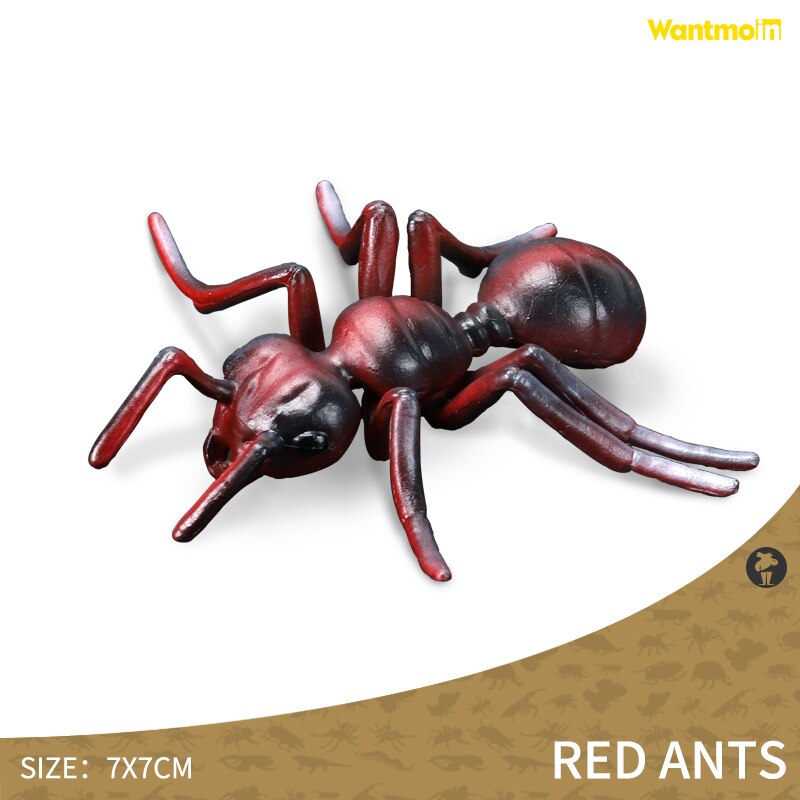 World-famous Dangerous Poisonous Wild Animal with Honey badger spider mosquito monitor lizard scorpion centipede snake Halloween: Red ant
