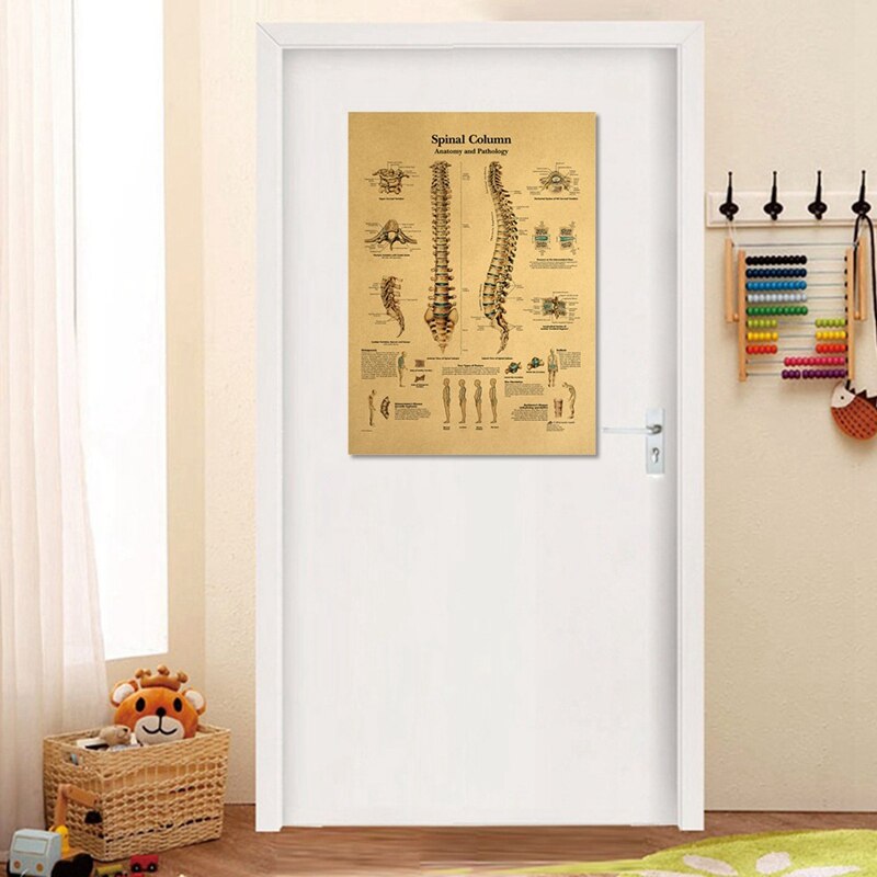 Retro Human Body Structure Diagram Back Spine Nerve Structure Diagram Poster Home Decor Kraft Paper Wall Sticker 42x30cm