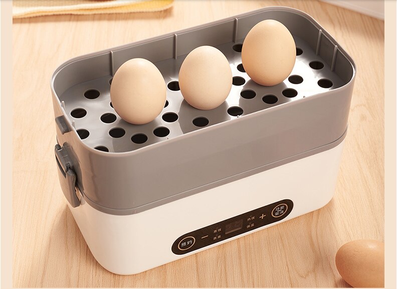 220V Electric Rice Cooker 2L Intelligent Electric Lunch Meals Heating Box Portable Mini Multi Cooker For Travel Hotel Trip