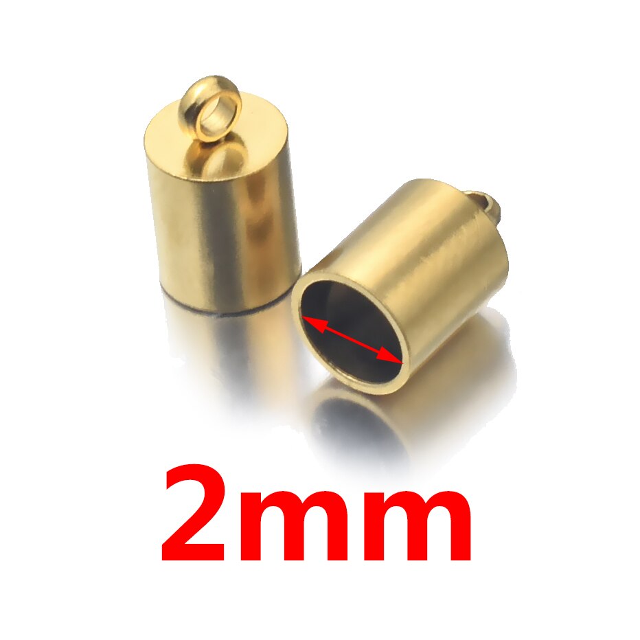 10 pièces Lot en acier inoxydable argent or fermoirs cordons embouts cordon pour bricolage fabrication de bijoux Bracelet collier résultats de bijoux à bricoler soi-même: Clair