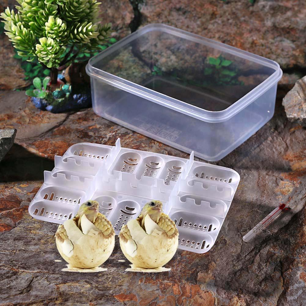 Plástico práctico 16 rejillas Reptiles de plástico bandeja para incubar huevos serpiente, lagarto huevos caja de incubadora herramienta de incubación terrarios