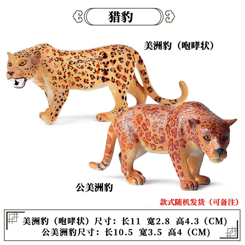 2 Stuks Wild Jungle Zoo Animal Model Actiefiguren Leeuw Tige Rhino Cheetah Collection Beeldjes Educatief Speelgoed Voor Kinderen: 2pcs Cheetahs A