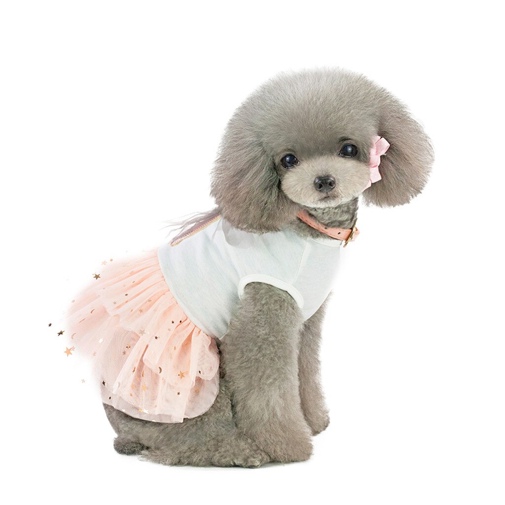 Dog Pet Bottoming Rabbit Print Dress Clothes Cat Lace Breathable Dress: White  / M