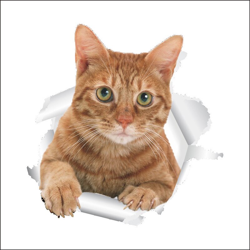1 pièces chats 3D autocollant mural autocollants de toilette trou vue salle de bain vive pour la décoration de la maison animaux Art autocollant: z3