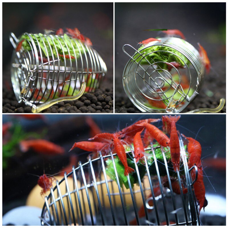 Gambas para Alimentación de Mascotas ornamentos de alimentación de verduras duraderas cestas de alimentación mascotas acuáticas de acero inoxidable acuario cristal alimentador de gamba