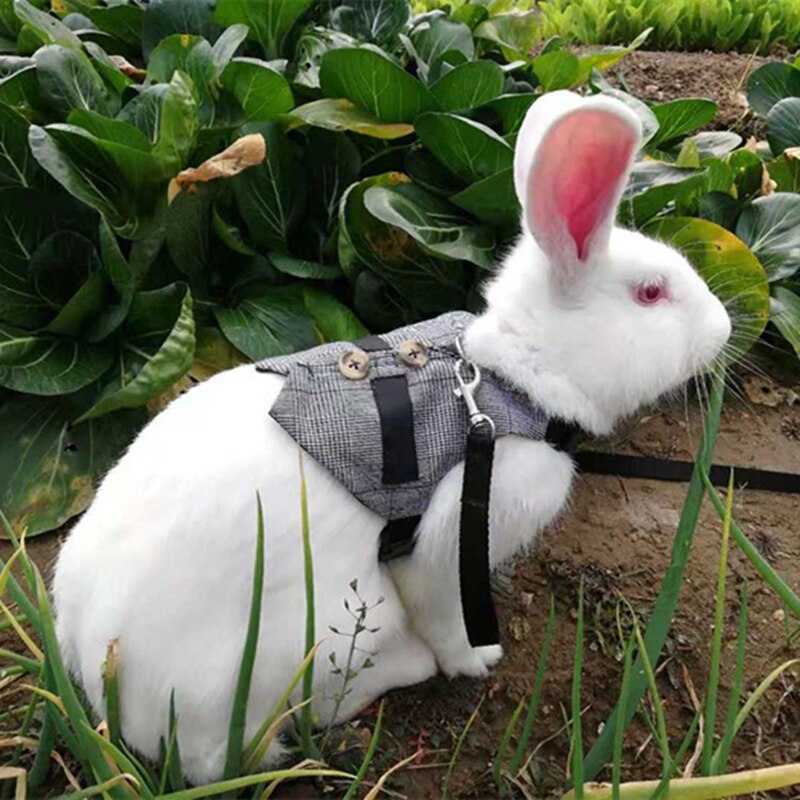 Rabbits Pet Vest with Pulling Rope Vest Convenient Rabbit Chest Back Safety Pet Harness Breathable Adjustable Pet Supplies