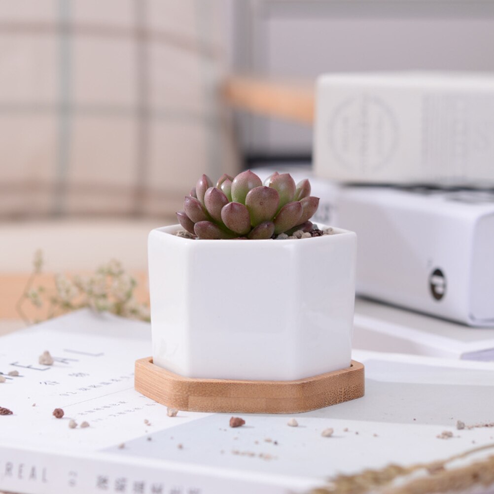 3 sets van Kleine Witte Keramische Zeshoekige Succulent Containers Plant Pot Cactus Planter Pot met Bamboe Lade