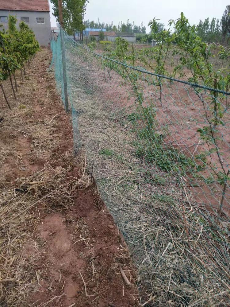 Knotted Heavy Duty Garden Netting, Fence Net Garden Deer Fence Crops Protective Fencing Mesh Anti Bird Deer Cat Dog Chicken Net