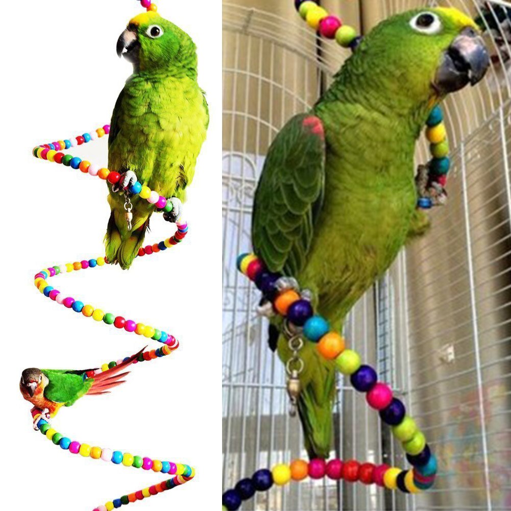 Stunning Parrot Mini Cage With Rotated Toys image