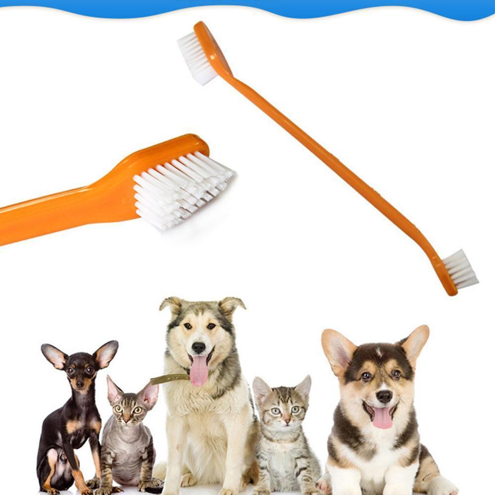 Dentifrice comestible pour chien et chat, accessoire de nettoyage et goût vanille de bœuf et animaux domestiques, 2 accessoires et dents, V4Q2