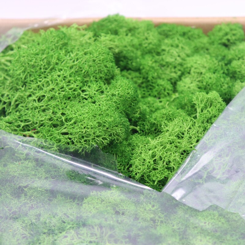 Fausse mousse artificielle multicolore, 20g, fausse plante, accessoire décoratif pour la maison, le salon et le jardin